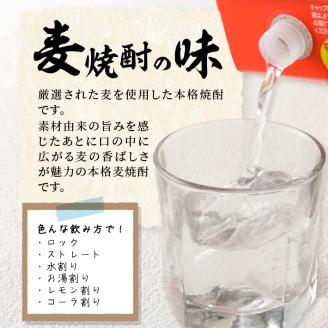 本格麦焼酎 めちゃうま麦25度2Lパック×6本セット_焼酎 麦焼酎 5年連続 金賞 福岡県酒類鑑評会 めちゃうま麦 25度 2L 6本 セット 鷹正宗 本格焼酎 プリン体糖質ゼロ 口当たり優しく まろやかな旨み 麦の香ばしさ ソフトな飲み心地 お酒 アルコール  焼酎ハイボール 福岡県 久留米市 お取り寄せ 送料無料_El017