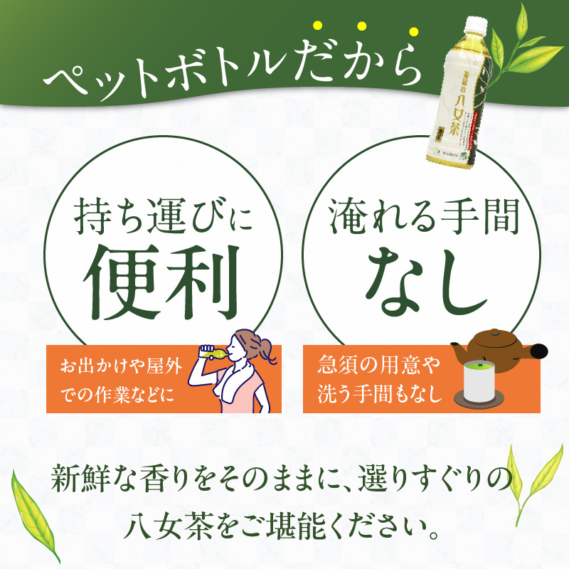 福岡の八女茶煎茶ペットボトル500ml×24本_福岡の八女茶煎茶 ペットボトル 500ml × 24本 緑茶 茶栽培農家 八女茶 甘み さっぱり 新鮮 香り 日本茶 まとめ買い 1ケース 水分補給 お茶 ソフトドリング 飲料 飲み物 備蓄 お取り寄せ 久留米市 送料無料_Ex203