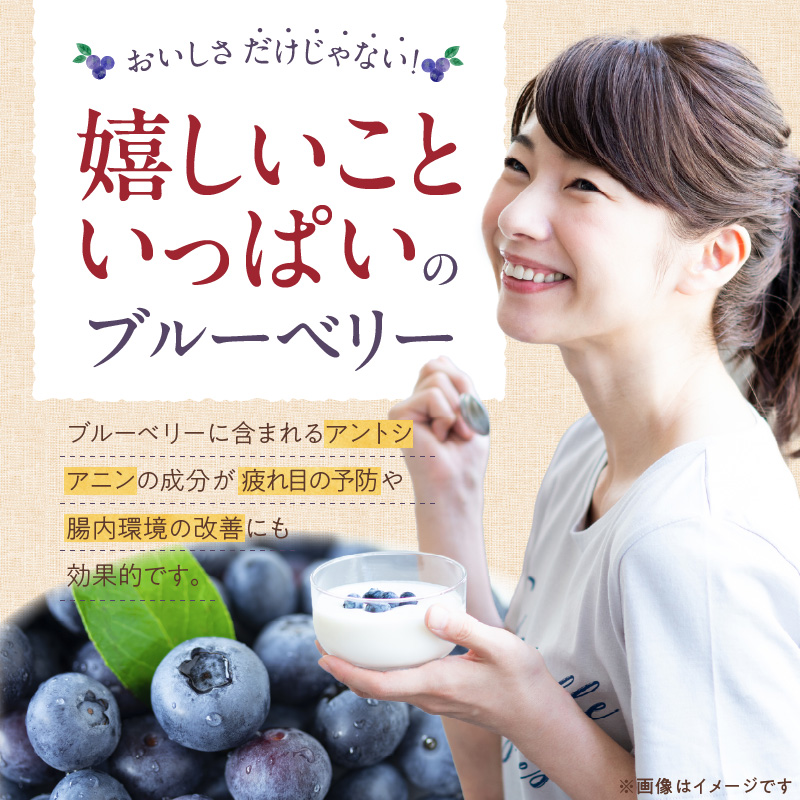 飲むブルーベリー酢　2本_お酢 ドリンク ブルーベリー 300ml 2本 飲むお酢 ブルーベリー酢 甘くて飲みやすい 希釈 3倍～5倍 果汁 アントシアニン 疲れ目予防 腸内環境改善 簡単 アレンジ 牛乳 炭酸 お酒 瓶 果実酒 お酢飲料 飲料 飲み物 健康 福岡県 久留米市 お取り寄せ 送料無料_Ex218