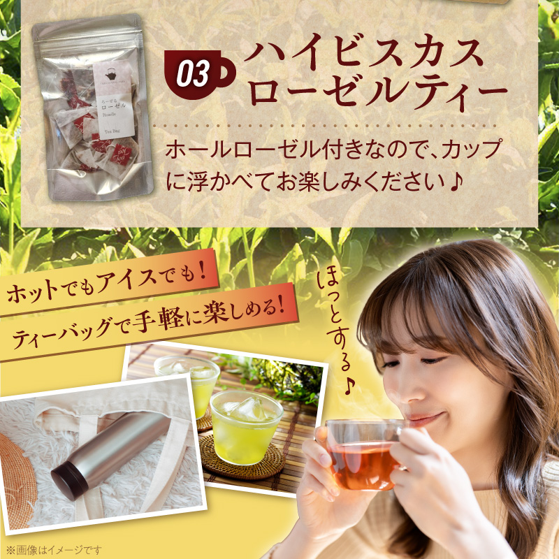 三色のお茶飲み比べ　ティーバッグ _ 三色 お茶 飲み比べ ティーバッグ ブラックティー紅茶 グリーンティー緑茶 レッドティーハイビスカスローゼルティー 各 10パック 国産 栽培期間中 農薬不使用 こだわり 栽培 茶葉 淹れ方 水出し 急須 オフィス お取り寄せ 福岡県 久留米市 送料無料 _Ex234