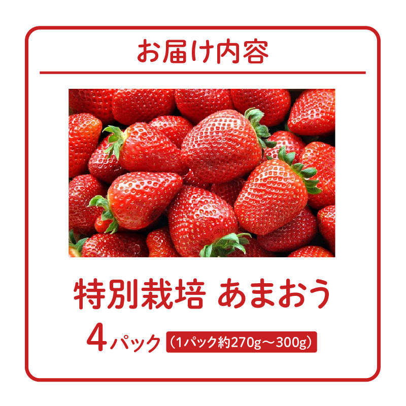 特別栽培あまおう 4パック ふくおかエコ農産物_いちご あまおう 約 270g ～ 300g 4パック 大粒 濃厚 甘い 特別栽培 安心 安全 冷蔵 果物 フルーツ ストロベリー アフター保証 スイーツ ケーキ スムージー ジャム デザート 福岡県産 福岡限定 ふくおかエコ農産物 国産 お取り寄せ 福岡県 久留米市 送料無料_Fi003