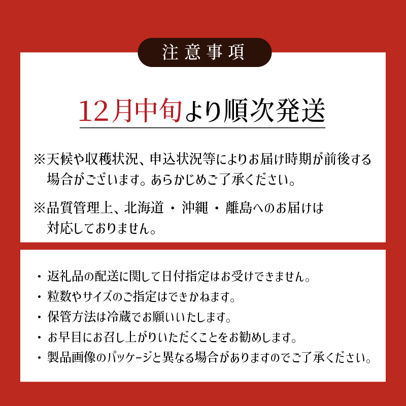 【12月中旬より順次発送】農家直送 朝採り新鮮いちご【博多あまおう】約270g×4パック_農家直送 朝採り 新鮮 いちご 博多 あまおう 約 270g×4パック_Fi060