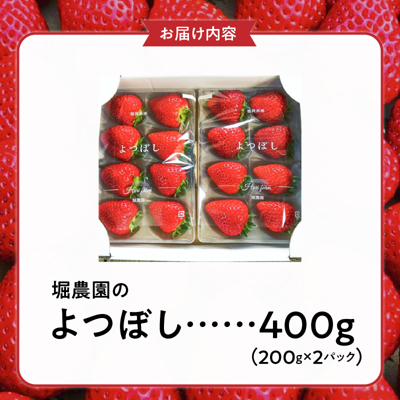 福岡県エコ農産物認定　堀農園のよつぼし400g_エコ農産物認定 堀農園 よつぼし 200g × 2パック 計 400g 完熟 食べ頃 いちご チルド便 適度 食感 酸味 強くない 豊か 風味 広がる バランス 四つ星級 お取り寄せ 福岡県 久留米市 送料無料_Fi073