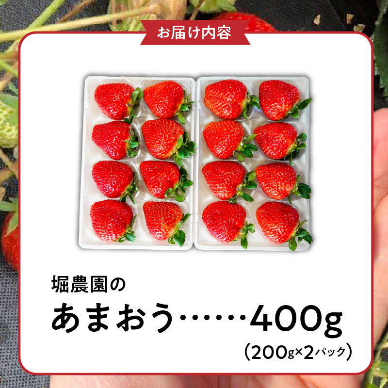 福岡県エコ農産物認定　堀農園のあまおう400g_エコ農産物認定 堀農園 あまおう 200g × 2パック 計 400g 完熟 食べ頃 いちご チルド便 大粒 甘み 程よい 酸味 バランス 絶妙 果汁 ジューシー お取り寄せ 福岡県 久留米市 送料無料_Fi074