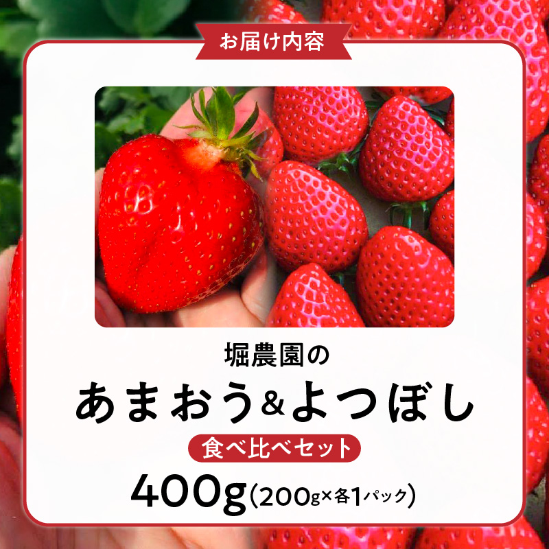 福岡県エコ農産物認定　堀農園のあまおう＆よつぼし食べ比べセット400ｇ(200g×2パック)_エコ農産物認定 堀農園 あまおう よつぼし 各 200g × 1パック 計 400g 食べ比べ セット 完熟 食べ頃 いちご チルド便 大粒 甘み 程よい 酸味 バランス 絶妙 果汁 ジューシー 四つ星級 お取り寄せ 福岡県 久留米市 送料無料_Fi075