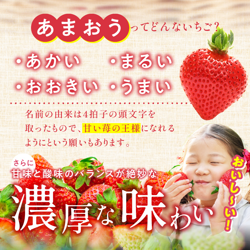 苺（あまおう）270g×2パック×2箱 _ あまおう 270g 2パック 2箱 計 1080g 福岡県産 いちご ストロベリー 特別栽培 認証 アフター保証 安心 安全 艶 果物 果汁 フルーツ スイーツ デザート 冷蔵 福岡県 久留米市 お取り寄せ 送料無料 _Fi076