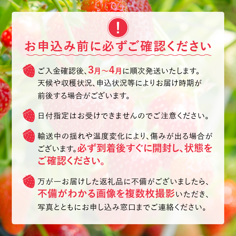 福岡県産あまおういちご　280g～300g×4パック（中粒）【3月～4月発送】 _ いちご あまおう 中粒 4パック 宇佐川農園 果物 フルーツ みずみずしい ジューシー 甘味 酸味 濃厚 ストロベリー パフェ ショートケーキ パンケーキ スムージー サンドイッチ ジャム 福岡県産 久留米市 お取り寄せ 送料無料 _Fi077-03 中粒：280g～300g×4パック