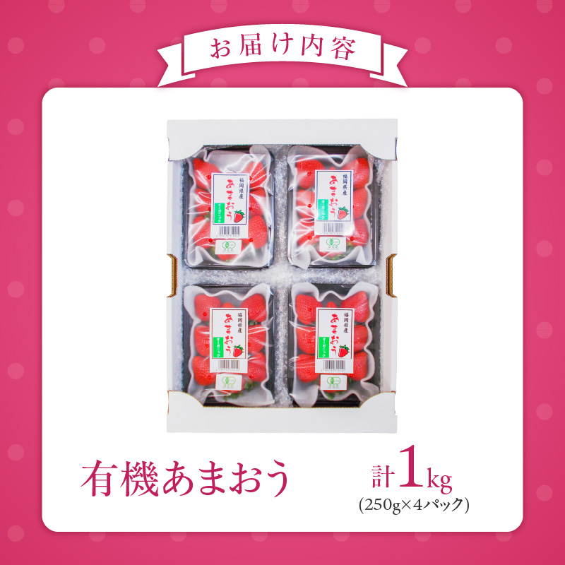 有機あまおう250g×4パック _ 有機 あまおう 250g 4パック 計 1000g オーガニック いちご ストロベリー 特別栽培 認証 アフター保証付き 安心 安全 やさしい甘み 香り ジューシー 果物 果汁 フルーツ スイーツ デザート 冷蔵 お取り寄せ 福岡県 久留米市 送料無料 _Fi078