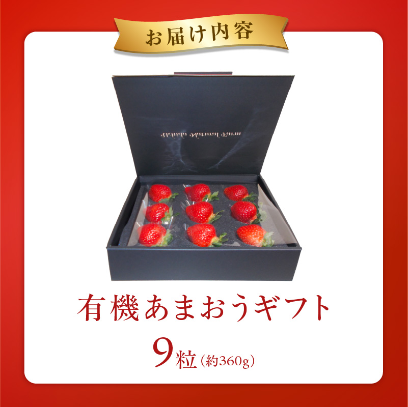 贈答用有機あまおうギフト9粒（約360g） _ 贈答用 有機 あまおう ギフト用 9粒 約 360g オーガニック いちご ストロベリー 特別栽培 認証 アフター保証付き 安心 安全 上品な甘さ 艶 ジューシー 果物 果汁 フルーツ スイーツ デザート 冷蔵 贈り物 お取り寄せ 福岡県 久留米市 送料無料 _Fi079