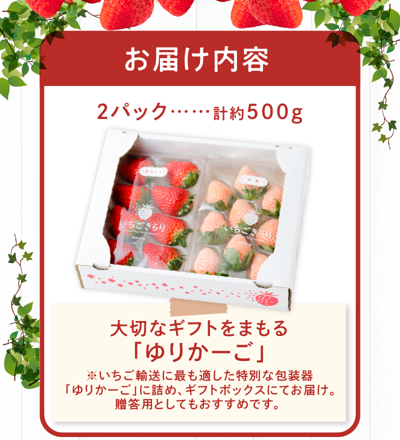 特別栽培 白いちご 淡雪と旬のいちご詰め合わせ紅白セット （ふくおかエコ農産物） 約500g_特別栽培 白いちご 旬 いちご 詰め合わせ 紅白セット 一箱2パック入り 約500g ふくおかエコ農産物 旬のいちご 食べ比べ ギフト 最適 久留米市内 生産 7品種 淡雪 あまおう 恋みのり かおりの 紅ほっぺ よつぼし あまえくぼ いちごきらり 福岡県 送料無料_Fi109