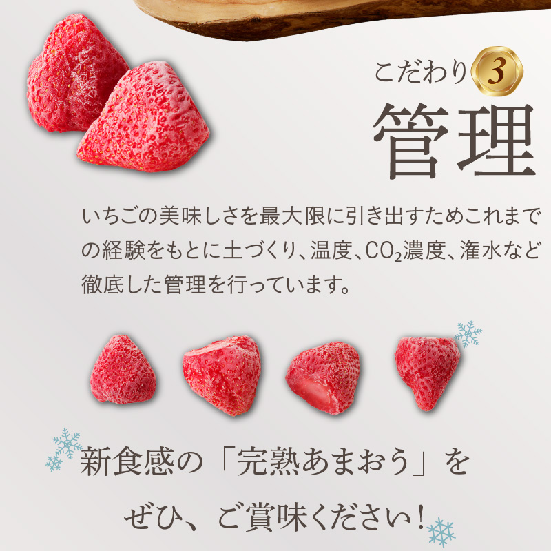 旬のおいしさそのまま！池田農園の特殊冷凍あまおう1.5kg_池田農園 特殊 冷凍 完熟 あまおう 1.5kg  糖度 酸度 バランス 旬 おいしさ そのまま アートロックフリーザー 急速冷凍 サクサク 食感 福岡エコ農産物認定 こだわり 管理 真空パック デザート 果物 いちご グルメ お取り寄せ 福岡県 久留米市 送料無料_Fi213