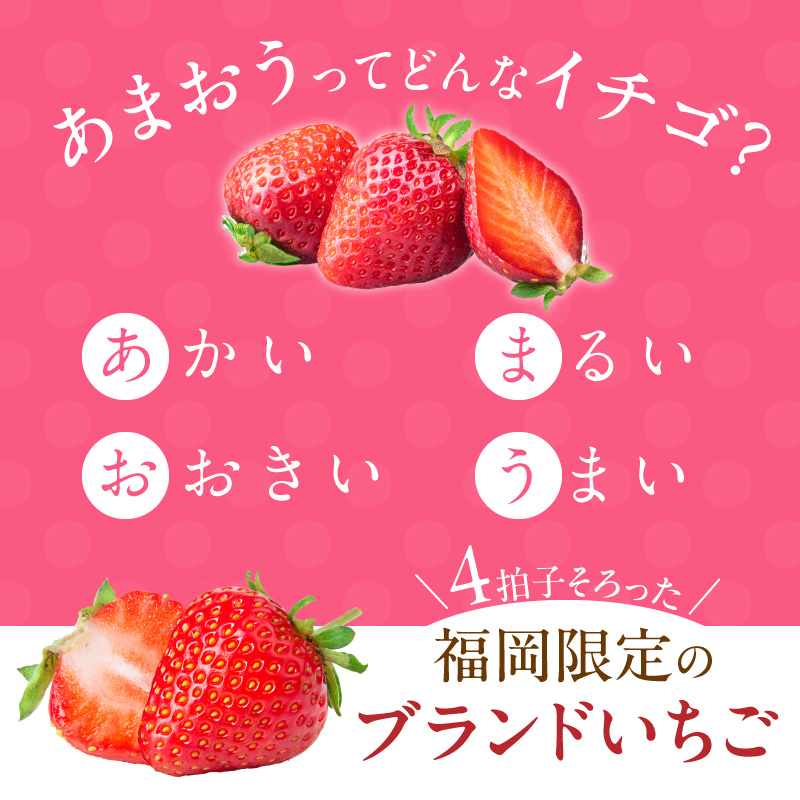【2026年2月お届け】【訳あり】冷凍あまおう（いちご）2kg _ 訳あり 冷凍 あまおう 計 2kg 1kg × 2袋 福岡 国産 いちご 完熟 鮮やか 赤色 ふっくら 丸い形 食べごたえ 大粒 甘み 酸味 バランス 絶妙 スムージー ジャム ヨーグルト デザート アイス おやつ 果物 フルーツ 福岡県 久留米市 送料無料 _Fi217-m02 2月
