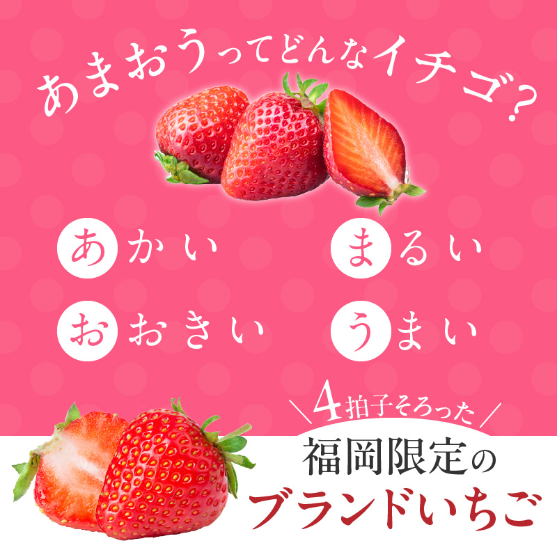 【訳あり】冷凍あまおう（いちご）2kg_訳あり いちご イチゴ 冷凍 あまおう 2kg 1kg×2袋 福岡 国産 完熟 鮮やかな 赤色 ふっくら 丸い形 食べごたえ 大粒 甘み 酸味 バランス 絶妙 スムージー ジャム ヨーグルト シャーベット デザート アイス おやつ 果物 フルーツ 福岡県 久留米市 送料無料_Fi217 通常発送