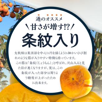 【10月発送】池尻農園　太秋柿　9玉～14玉　約3kg_柿 甘柿 太秋柿 9玉 ～ 14玉 約 3kg 種が少ない 池尻農園 シャキシャキとした食感 さっぱり 多汁 高い糖度 国産 フルーツ 果物 福岡県 久留米市 お取り寄せ お取り寄せフルーツ 食品 食べ物 送料無料_Fk012
