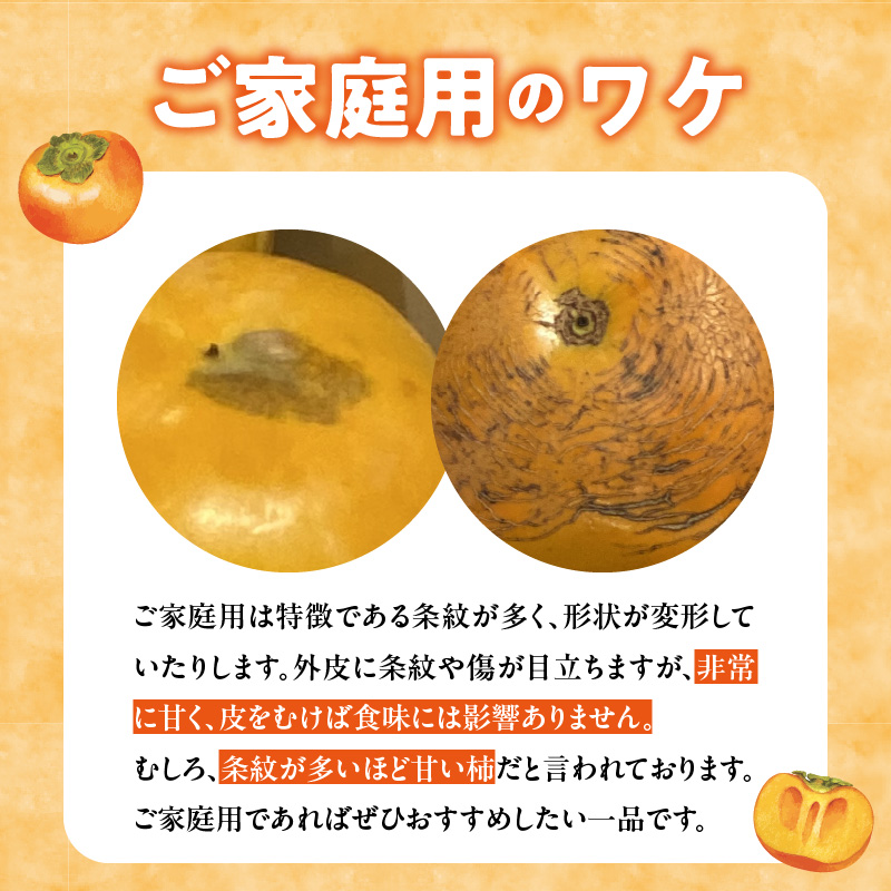 【訳あり品】【10月発送】池尻農園 太秋柿 5～9玉 約1.8kg ご家庭用_訳あり品 池尻農園 太秋柿 5 ～ 9玉 約 1.8kg ご家庭用 柿 10月 最盛期 完全甘柿 早生品種 大玉 甘み 強い シャキシャキ 食感 条紋 美味しさ 際立つ 種 少ない 食べやすい 人気 国産 九州産 フルーツ 果物 お取り寄せ 福岡県 久留米市_Fk015