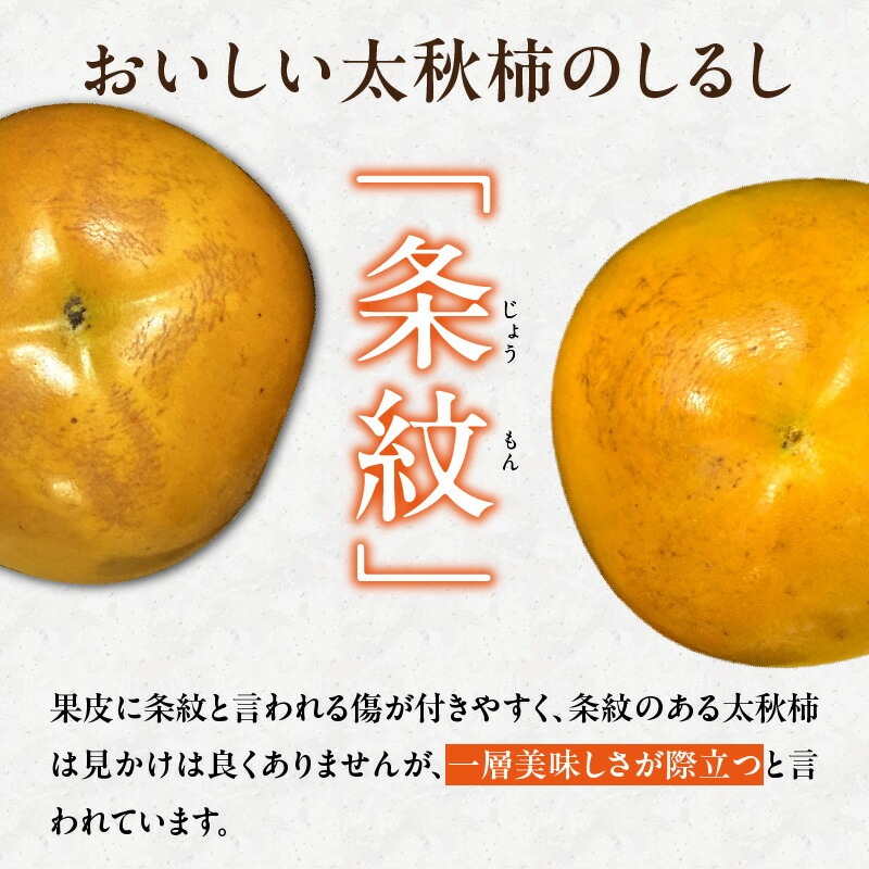 【訳あり品】【10月発送】池尻農園　太秋柿　9～14玉　約3kg　ご家庭用_訳あり品 太秋柿 9～14玉 約3kg ご家庭用 柿 甘柿 フルーツ 果物 スイーツ 甘い 条紋 10月最盛期 完全甘柿 早生品種 大玉 甘みが強い シャキシャキ 種が少ない 子供でも 食べやすい 福岡県 久留米市 送料無料_Fk016