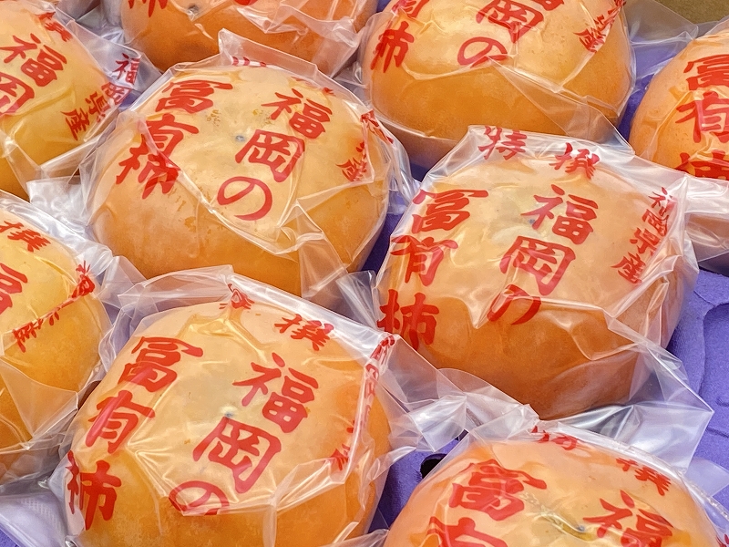 柿の王様 池尻農園 田主丸町の富有柿(冷蔵) 10玉～14玉 約3kg_柿 甘柿 富有柿 10玉 ～ 14玉 約 3kg 柿の王様 人気 高い 国産 フルーツ 果物 高品質 天皇への献上品 秋の味覚 名産地 冷蔵 スイーツ サラダ 旬 池尻農園 福岡県 久留米市 田主丸 お取り寄せ お取り寄せフルーツ 食品 食べ物 送料無料_Fk107