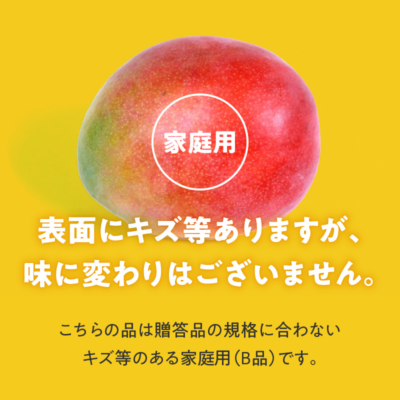 【2026年6月以降お届け】【家庭用】くるめで育った完熟マンゴー（2～3個：約0.8～1kg）_家庭用 くるめで育った 完熟マンゴー 2個 ～ 3個 アーウィン 甘い 子供も安心 フルーツ トロピカルフルーツ 果物 マンゴー 完熟 国産 家庭用 B品 冷蔵 クール便 倉重農園 お取り寄せ 福岡県 久留米市 送料無料_Fm007
