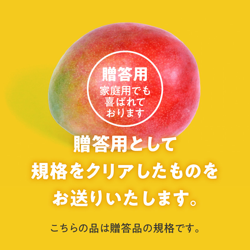 【2026年6月以降お届け】くるめで育った完熟マンゴー（3個：約1kg）_先行予約！贈答用 トロ～ッと口のなかでとろける くるめで育った 完熟マンゴー 3個 約 1kg 甘い 子供も安心 フルーツ  果物 マンゴー 完熟 国産 冷蔵 クール便 倉重農園 お取り寄せ 福岡県 久留米市 送料無料_Fm013