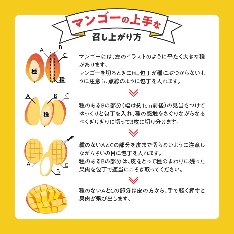 【2026年6月以降お届け】極　完熟マンゴー（2玉：約1.1kg）_完熟マンゴー 2玉 約 1.1kg 久留米産 平均糖度 17度～18度 完熟 マンゴー 国産 フルーツ トロピカルフルーツ 果物 デザート 冷蔵 クール便 お取り寄せ お取り寄せフルーツ 福岡県 久留米市 送料無料_Fm018