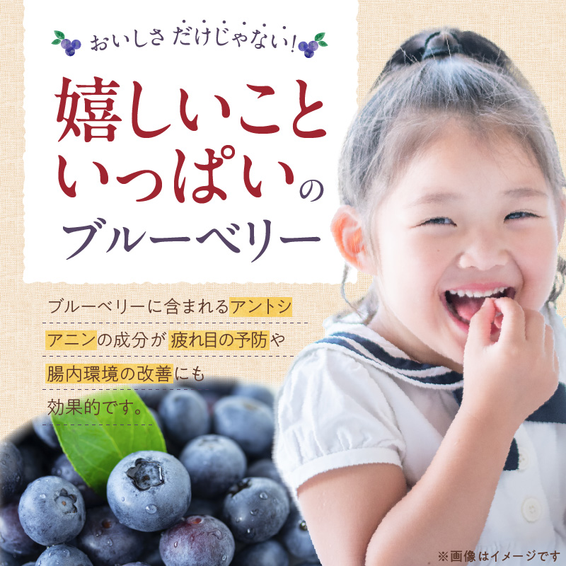冷凍ブルーベリー 1kg_冷凍 ブルーベリー １kg 完熟 自家農園 ミキサー アイス ヨーグルト シャーベット スムージー アントシアニン 疲れ目 腸内環境 国産 ジャム レシピ 冷凍フルーツ 果物 フルーツ お取り寄せ くだものお取り寄せ 福岡県 久留米市 送料無料_Fx005