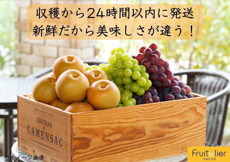 【先行予約】※贈答用※【フルトリエ】シャインマスカット・ぶどう・梨の詰合せ☆100年続くフルーツ農家_フルーツ 贈答用 セット 詰め合せ シャインマスカット 450g以上1房 マスカット ぶどう 450g以上1房 梨 2〜4玉 ギフト 贈り物 果物 食べ物 食品 朝採れ 冷蔵 送料無料 100年続くフルーツ農家 フルトリエ 中村果樹園_Fx011