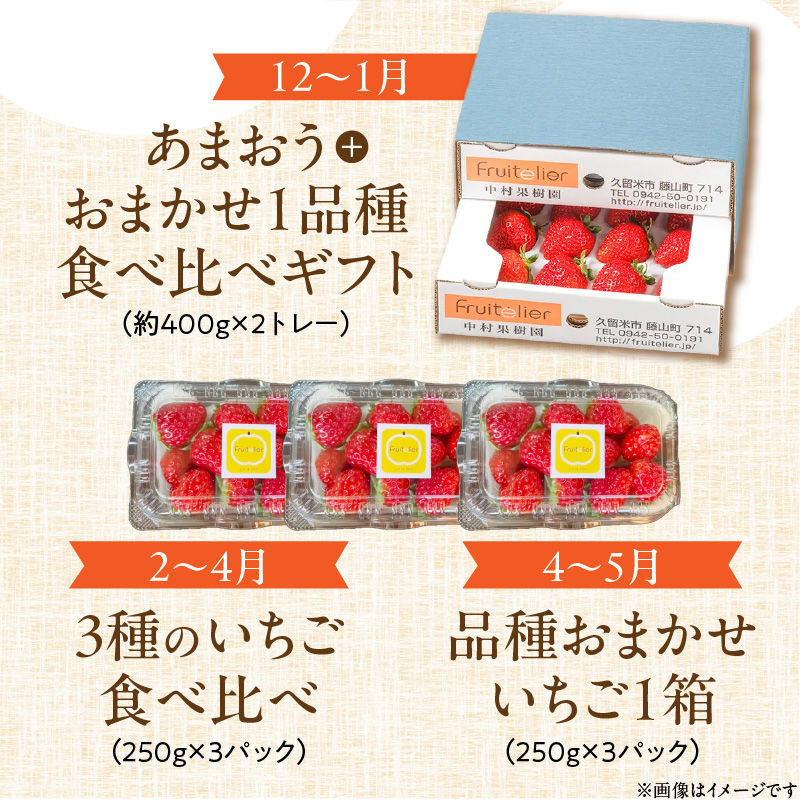 【年間7回配達】【フルトリエ】100年続くフルーツ農家の定期便_定期便 7回 贈答用 フルーツ セット 詰め合せ 幸水梨 ピオーネ シャインマスカット フルーツビネガー いちごジャム 梨のコンポート あまおう いちご 食べ比べ ギフト 果物 朝採れ 冷蔵 送料無料 100年続くフルーツ農家 フルトリエ 中村果樹園_Fx012
