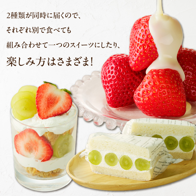 【2025年12月よりお届け】シャインマスカット（1房）、あまおう（1パック・コバヤシパック）_シャインマスカット 1房 あまおう 1パック セット 選べる 家庭用 贈答用 コバヤシパック 新鮮 人気 詰め合わせ いちご ぶどう 果物 フルーツ 果実 食品 デザート グルメ お取り寄せ お取り寄せグルメ 福岡県 久留米市 送料無料_Fx016 贈答用