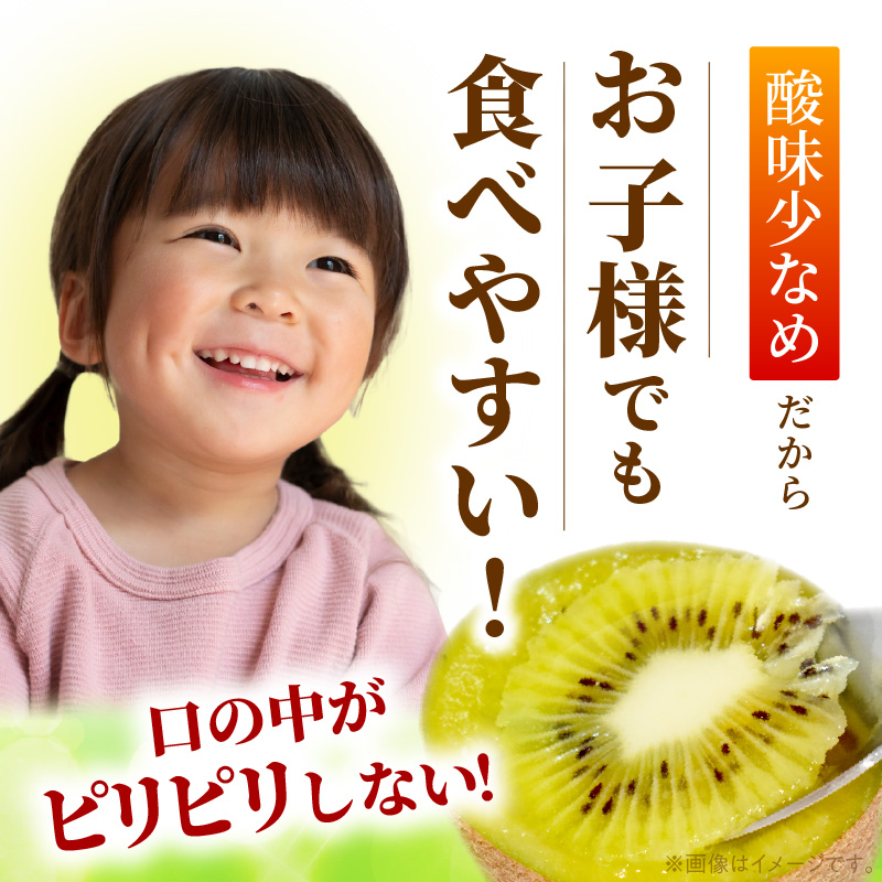 甘うぃ3kg箱_甘い キウイ 甘うぃ キウイフルーツ 3kg 国産 甘みの強い 果実 黄色味 福岡 オリジナル品種 濃厚 まろやか 高糖度 フルーツ 果物 ヨーグルト スムージー ジュース デザート 福岡県 久留米市 お取り寄せ お取り寄せフルーツ 送料無料_Fx018