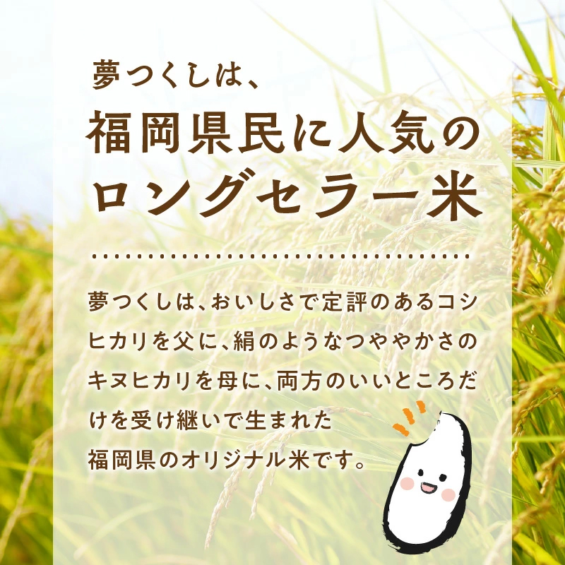 【無洗米】金のめし丸夢つくし　5kg　令和6年米_令和6年産 無洗米 金のめし丸 夢つくし 1袋 ツヤツヤ もちもち ごはん 食感 ほのかな 甘み ロングセラー オリジナル米 農産物検査 上位等級 国産 食品 食べ物 米 白米 精米 グルメ お取り寄せ お取り寄せグルメ 福岡県 久留米市 送料無料_Gr056