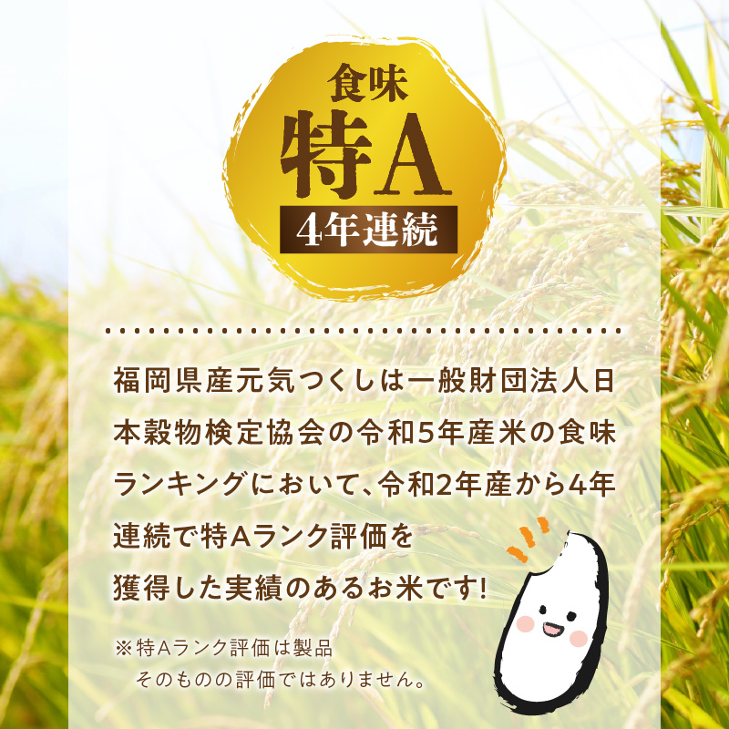 【無洗米】金のめし丸元気つくし　10kg　令和6年米_令和6年産 無洗米 4年連続 特A 金のめし丸 元気つくし 5kg × 2袋 一粒一粒 しっかり つや 粘り 炊きたて ごはん 春夏秋冬 冷めても いつでも 美味しい 農産物検査 上位等級 国産 食品 食べ物 米 白米 精米 グルメ お取り寄せ 福岡県 久留米市 送料無料_Gr057