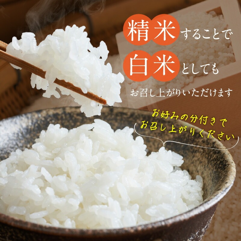 【令和7年産 新米】福岡県産ブランド米元気つくし 玄米 5kg_元気つくし 玄米 内容量 5kg 福岡県産 ブランド米 鮮度抜群 新鮮 福岡生まれ 品種 香り豊か ふっくら 食感 ご飯 おにぎり 弁当 お米 食品 お取り寄せ 九州 久留米産 福岡県 久留米市 送料無料_Gr067 5kg