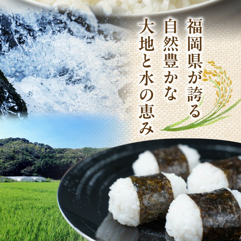 金のめし丸夢つくし　36194　3kg（1袋）　令和7年産 _ 3kg × 1袋 国産 米 福岡県産米 白米 精米 お米 夢つくし オリジナル米 金のめし丸 おいしい ツヤツヤ もちもち ほのかな甘み ご飯 おにぎり 食品 ライス 常温 九州 福岡県 久留米市 お取り寄せ 送料無料 _Gr077