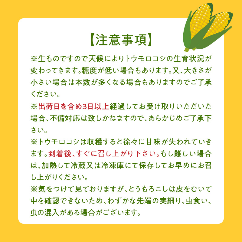 【ふくおかエコ農産物認証】農家直送！SDGs米糠堆肥で作った博多あまっコーン4.5キロ以上（10～15本）【2026年6月より順次出荷】_ふくおかエコ農産物 2026年6月より順次出荷 とうもろこし 博多あまっコーン 約 4.5kg 以上 10本 〜 15本 プレミアムコーン 粒が大きい 食べ応え 美味しい 糖度 野菜 お取り寄せ 福岡県 久留米市 送料無料_Gv035