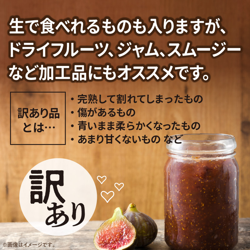 SDGs米糠循環農法で育てた樹上完熟イチジク　訳あり品1キロ以上（サイズ混合18個）×2箱【産地直送2026年8月より順次出荷】＿イチジク 訳あり品 1キロ 以上 サイズ 混合 18個 × 2箱 SDGs 米糠循環農法 樹上完熟 露地栽培 桝井ドーフィン ドライフルーツ ジャム スムージー 福岡県 久留米市 酒見農産 お取り寄せグルメ お取り寄せ 送料無料 産地直送 _Gv043