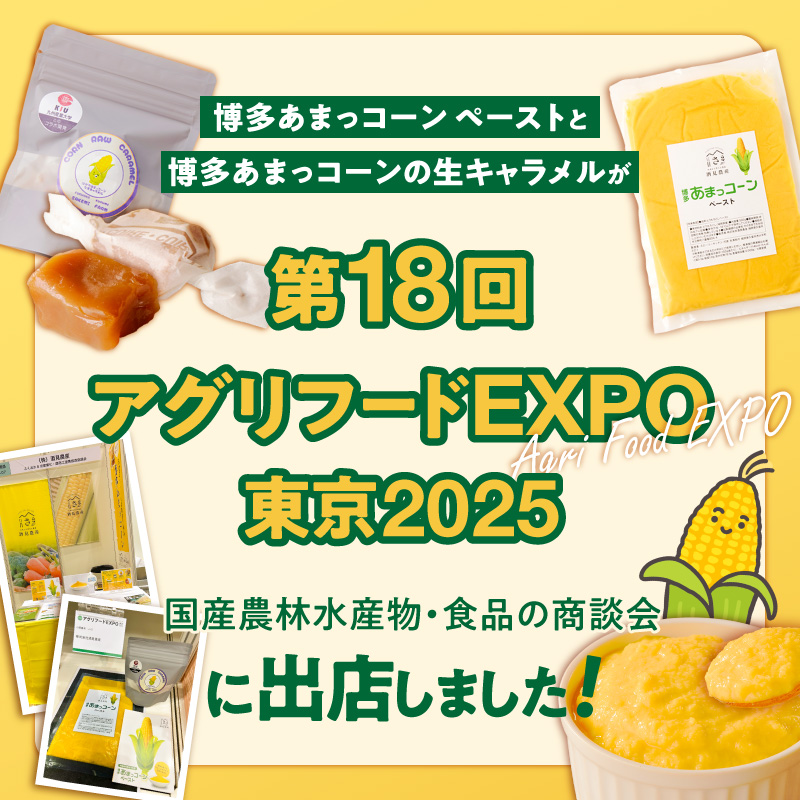 旬のとうもろこしの甘味をそのままに！博多あまっコーンの冷凍コーンペースト1.5キロ _ 博多あまっコーン ペースト 500g × 3パック 冷凍 とうもろこし 国産 メロンより甘い プレミアムコーン ふくおかエコ農産物 コーンペースト フルーツのような甘さ 離乳食 スープ 料理 スイーツ 野菜 酒見農産 お取り寄せ 福岡県 久留米市 送料無料 _Gv050