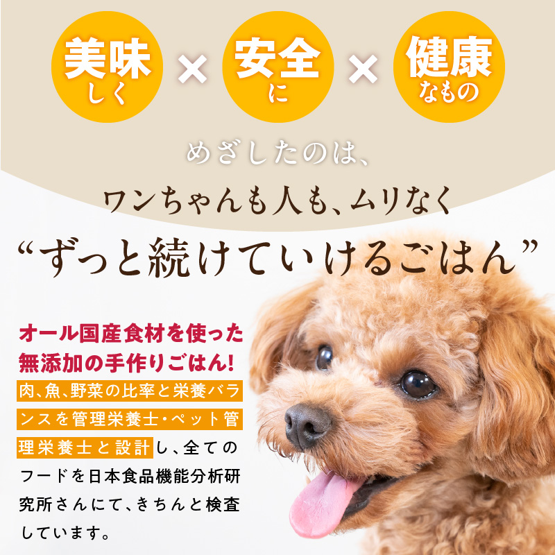 ペットフード 無添加ドッグフード・ブルズごはんCUBEタイプ 300g×1袋(馬)_CUBE型 20個入×1袋 無添加ドッグフード 1袋300g 馬肉 国産 手作り アレルギー ウェット 子犬 シニア犬 冷凍 ヒューマングレード 老犬 小型犬 お試し 選べる ペットフード ブルズごはん_Pf001-1 馬（300g×1袋）