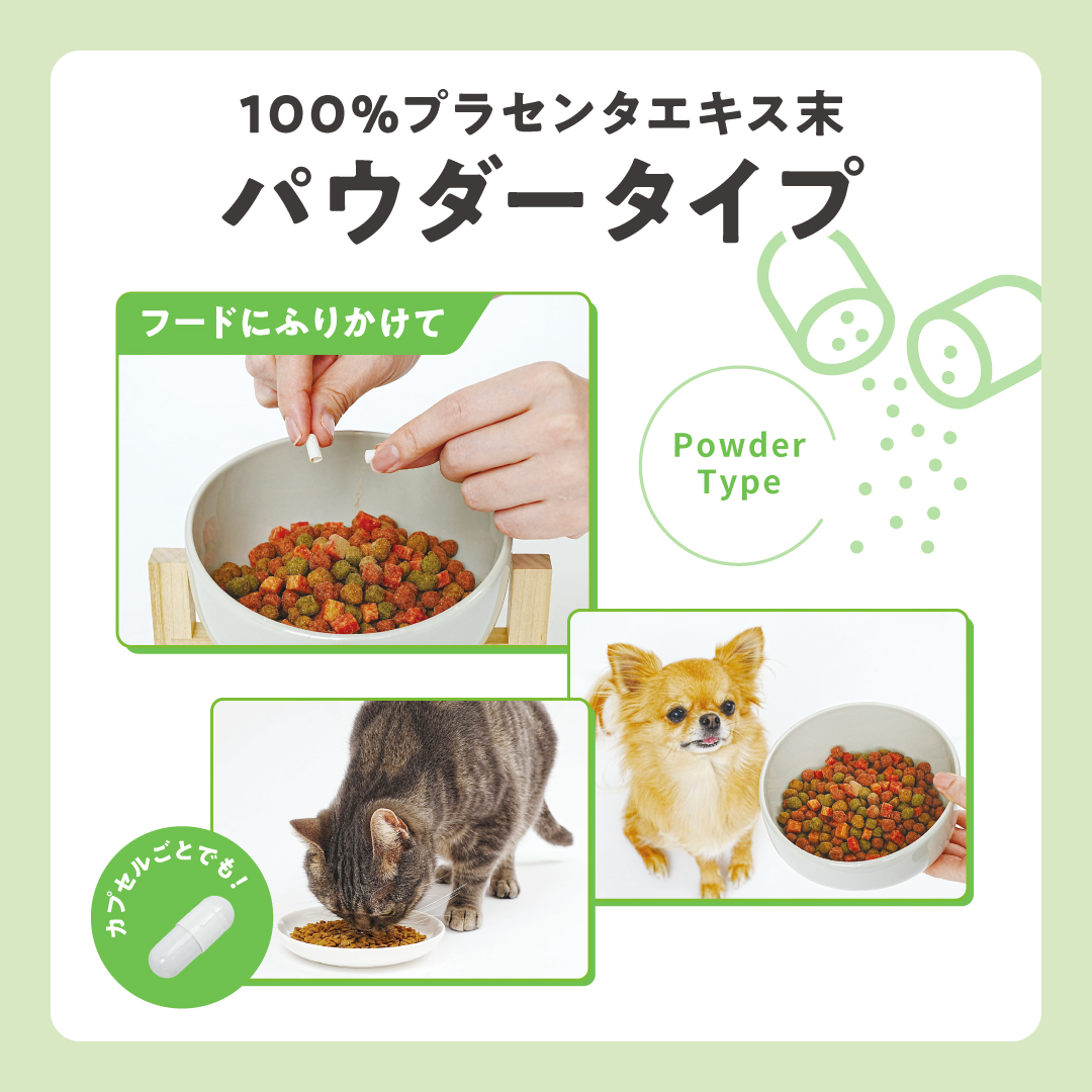 JBP 馬プラセンタ ペット（犬猫）用食品 【JBPET プラセンタサプリ EQ パウダー】_日本生物製剤 JBP プラセンタ EQパウダー 30粒 1箱 ペット用 犬 猫 サプリメント ペットサプリ ウマプラセンタ ペット用品 胎盤 栄養補給 体力回復 健康維持 プラセンタエキス 免疫力 ふりかけ トッピング 福岡県 久留米市 送料無料_Qp011
