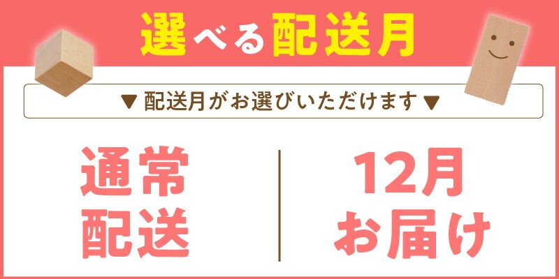 【ギフト対応OK！】小さな大工さんセットC_PEFC認証 小さな大工さんセットC 100ピース 5種類 専用箱付き 立方体 直方体 円柱 半円 ぶな材 玩具 おもちゃ つみき 子ども 無塗装 無着色 木製 体感 遊び 木遊び ドミノ 倒し 親子 楽しむ 知育玩具 ギフト 誕生日 出産祝い プレゼント 送料無料_Sx203 通常配送