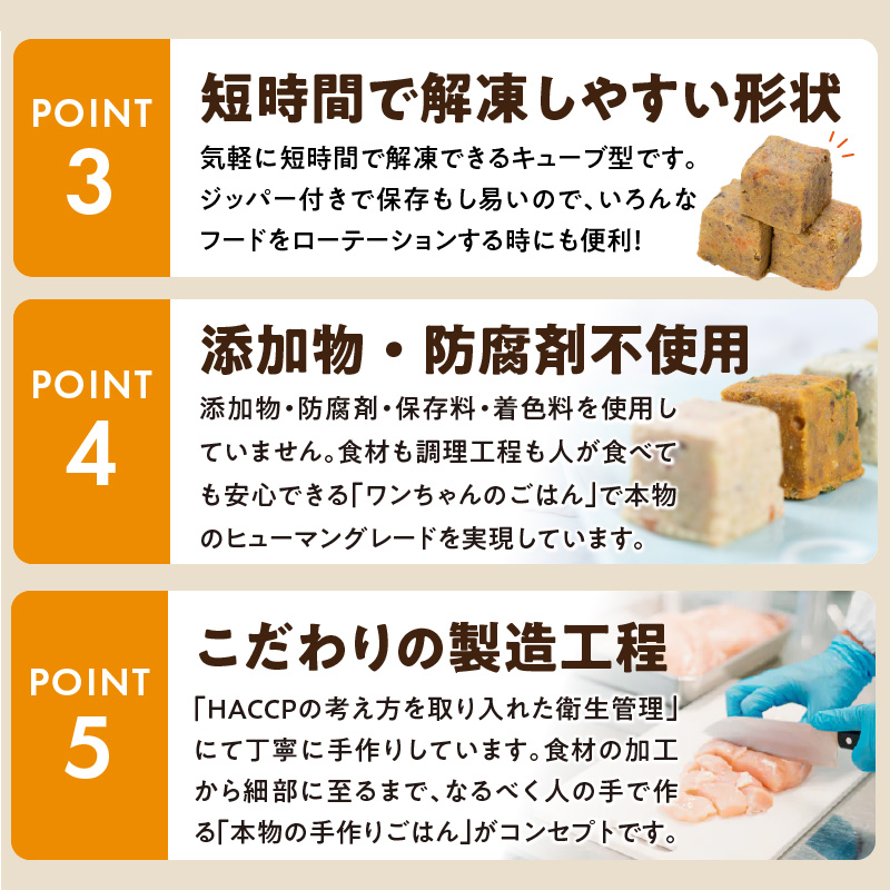 【定期便：隔月3回お届け！】ペットフード　無添加ドッグフード・ブルズごはんCUBEタイプ　300g×5袋（馬・豚・鹿・鶏・魚）_定期便 無添加 ドッグ フード ブルズごはん CUBE 300g × 5袋 隔月 計3回 馬肉 チーズ 豚肉 鹿肉 魚 野菜 鶏 ダシ 雑炊風 5種類 キューブタイプ 国産 手作り ごはん 混ぜるだけ おやつ ローテーション 成犬 シニア犬 愛犬 冷凍 福岡県 久留米市 送料無料_Tk040