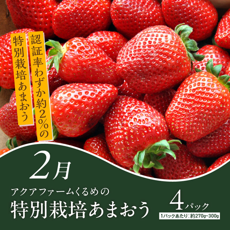 【定期便 12回】ちかっぱ厳選！福岡グルメ _ 定期便 12回 毎月お届け 水たき もつ鍋 あまおう 地鶏 明太子 ラーメン 高菜 とうもろこし 焼き鳥 博多和牛 すきしゃぶ 海苔 ステーキ グルメ おかず フルーツ 厳選 お取り寄せ 福岡県 久留米市 送料無料 _Tk121