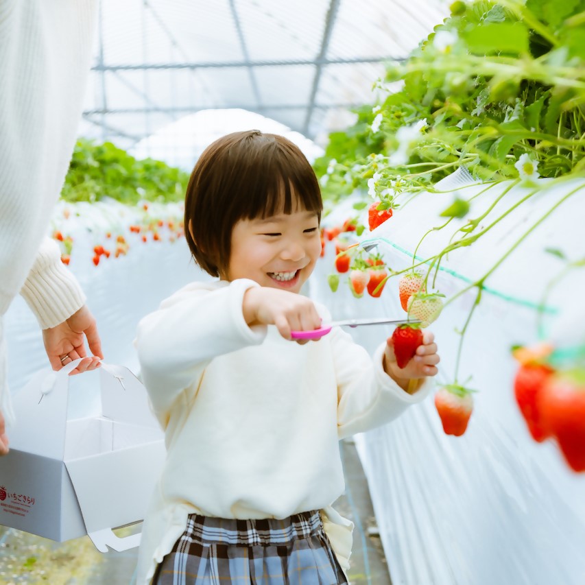 福岡県久留米市ANAトラベラーズダイナミックパッケージ割引クーポン4,500点分