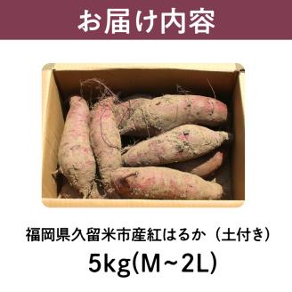 福岡県久留米市産　長期熟成紅はるか 5kg　M～2L　土付き_Gx036