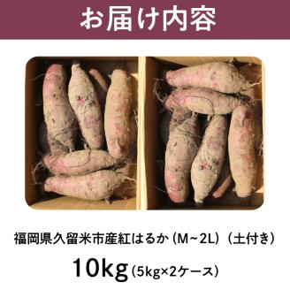 福岡県久留米市産　長期熟成紅はるか 10kg　M～2L　土付き_Gx040