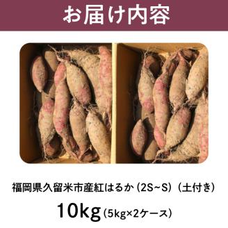 福岡県久留米市産 長期熟成紅はるか 10kg  2S～S 土付き_さつまいも 紅はるか 10kg 2S ～ S サイズ 土付き 久留米産 栽培期間中農薬不使用 長期熟成 熟成 上品 甘み ねっとり しっとり 本場 美味しい おやつ スイーツ 常温発送 国産 九州 福岡県 久留米市 お取り寄せ お取り寄せグルメ 送料無料_Gx042