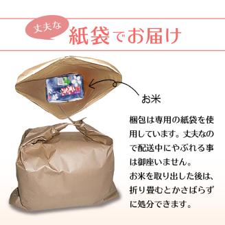 【6回定期便】令和5年産　無洗米　福岡県産元気つくし