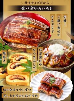 特大うなぎ蒲焼約400g×2尾_特大 うなぎ 蒲焼 無頭 約 400g 2尾 秘伝のタレ グルメ 食品 加工品 魚 魚介類 おかず 惣菜 ご飯のお供 酒の肴 うな丼 ひつまぶし お茶漬け 鰻巻き 冷凍 パック 太輔商事 福岡県 久留米市 お取り寄せ お取り寄せグルメ 送料無料_Cu027