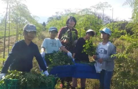 農業体験と宿泊ツアー_農業体験 宿泊ツアー 体験型 体験 子供 大人 親子 農業 一泊二食 お土産付き 農作物 収穫 造園 庭造り 耳納連山 筑後川 里山の魅力 自然 思い出 アクティビティ レジャー 観光 旅行 民宿 民泊 農家暮らし 福岡県 久留米市 送料無料_Rd021