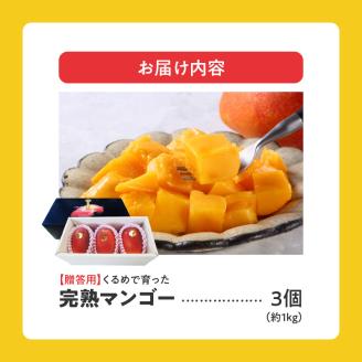 【2026年6月以降お届け】くるめで育った完熟マンゴー（3個：約1kg）_先行予約！贈答用 トロ～ッと口のなかでとろける くるめで育った 完熟マンゴー 3個 約 1kg 甘い 子供も安心 フルーツ  果物 マンゴー 完熟 国産 冷蔵 クール便 倉重農園 お取り寄せ 福岡県 久留米市 送料無料_Fm013
