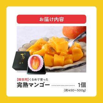 【2026年6月以降お届け】くるめで育った完熟マンゴー（1玉：約450～500g）_先行予約 贈答用 くるめで育った 完熟マンゴー 1個 約 450g~500g 甘い 子供も安心 高糖度 地植栽培 ビタミンA トロピカル フルーツ 果物 マンゴー 国産 クール便 先行受付 ギフト お取り寄せ 福岡県 久留米市 送料無料_Fm015